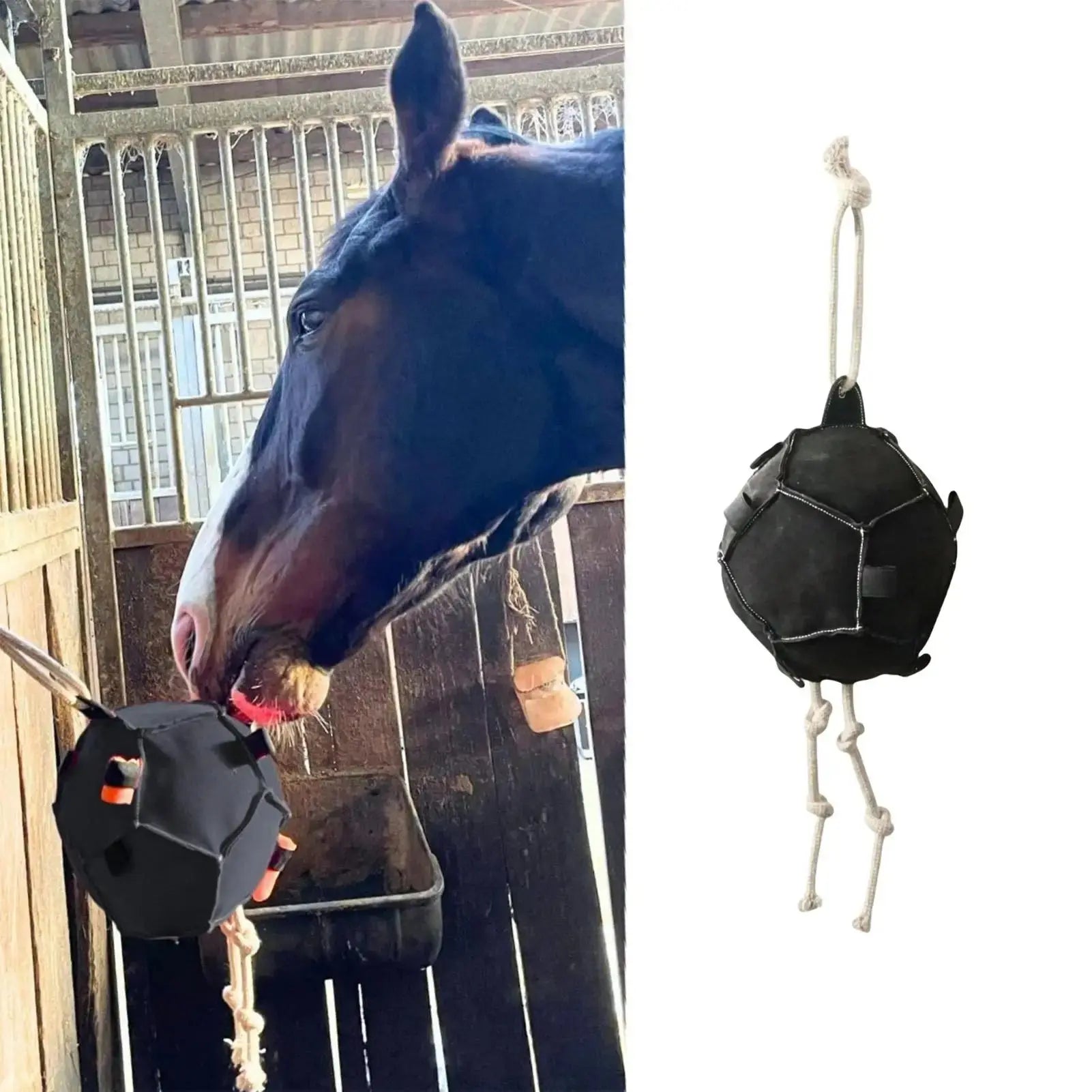 Deluxe Pferde Futterball Petoria