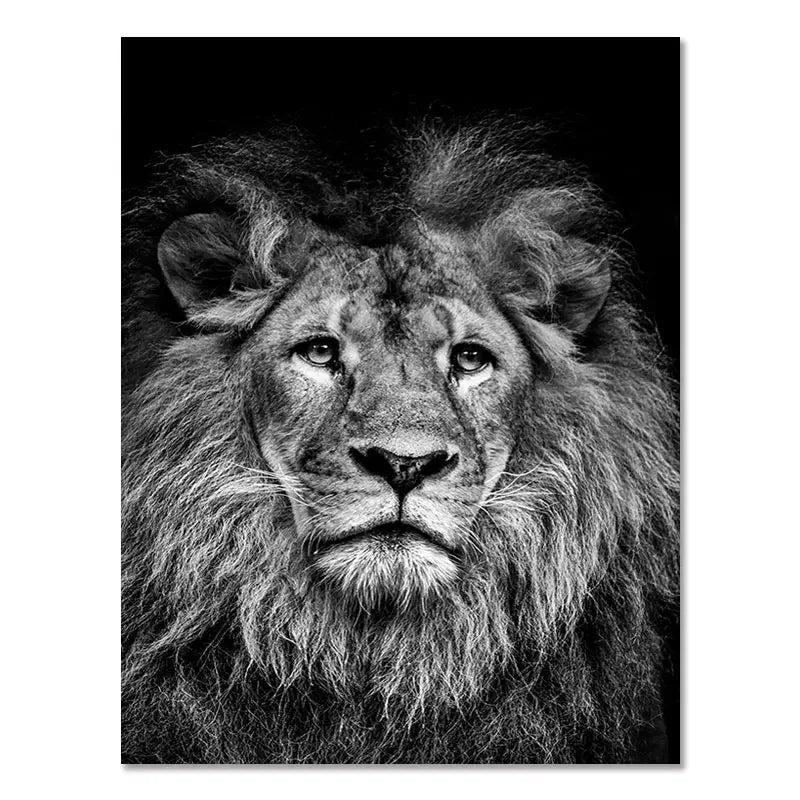 Canvas Painting Animal Wall Art Lion Elephant Deer Zebra Posters and Prints Wall Pictures for Living Room Decoration Home Decor Petoria Store