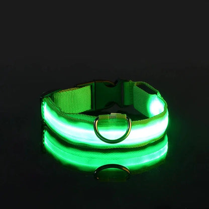 Leuchtende LED-Hundeleine für bessere Sichtbarkeit Petoria