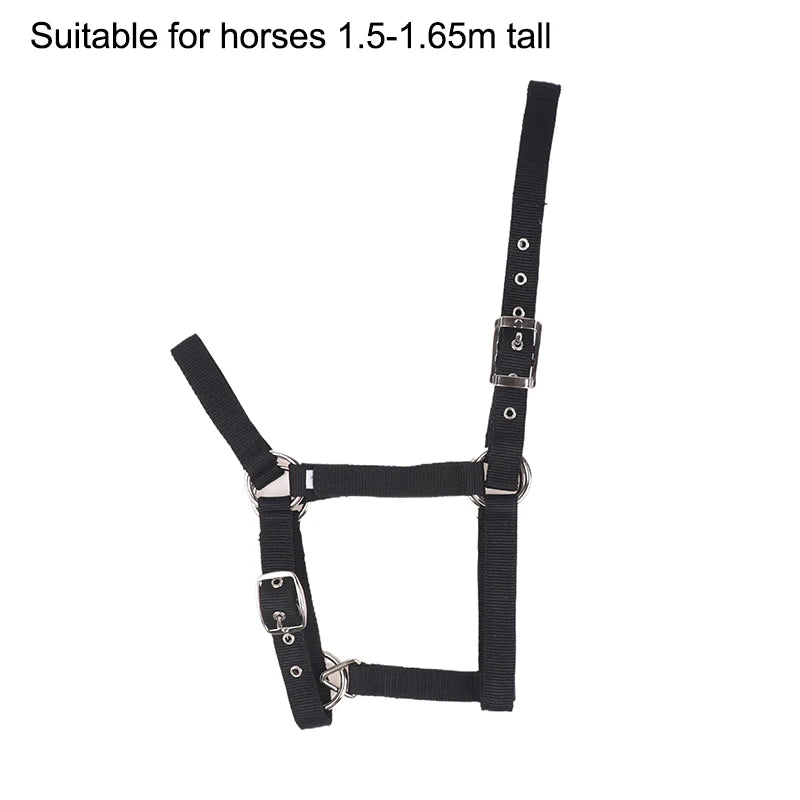 Pferdehalfter aus Nylon für Reitsport