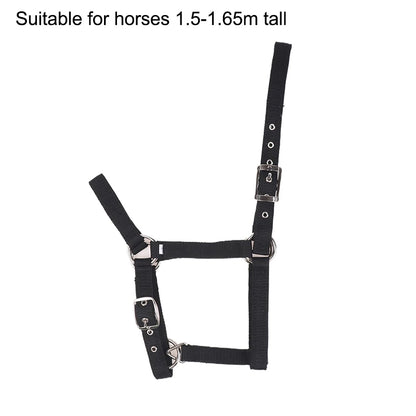 Pferdehalfter aus Nylon für Reitsport