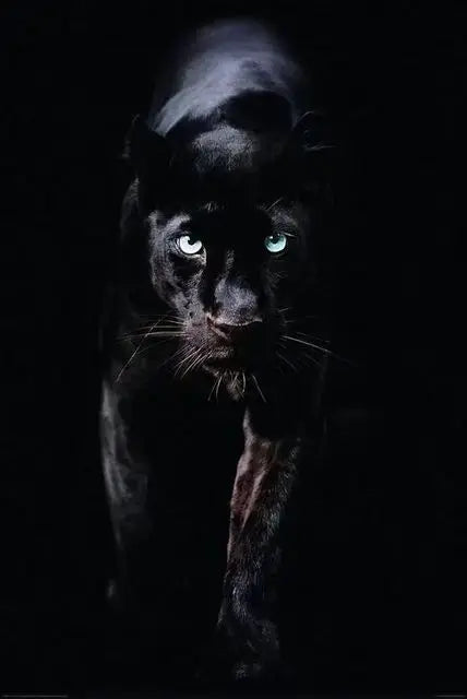 Canvas Painting Animal Art Black Panther Feline Wildlife Posters and Prints Wall Art Picture for Living Room Home Decor Cuadros Petoria Store