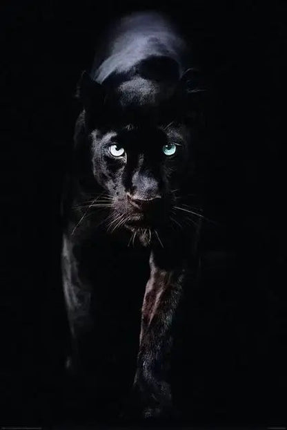Canvas Painting Animal Art Black Panther Feline Wildlife Posters and Prints Wall Art Picture for Living Room Home Decor Cuadros Petoria Store