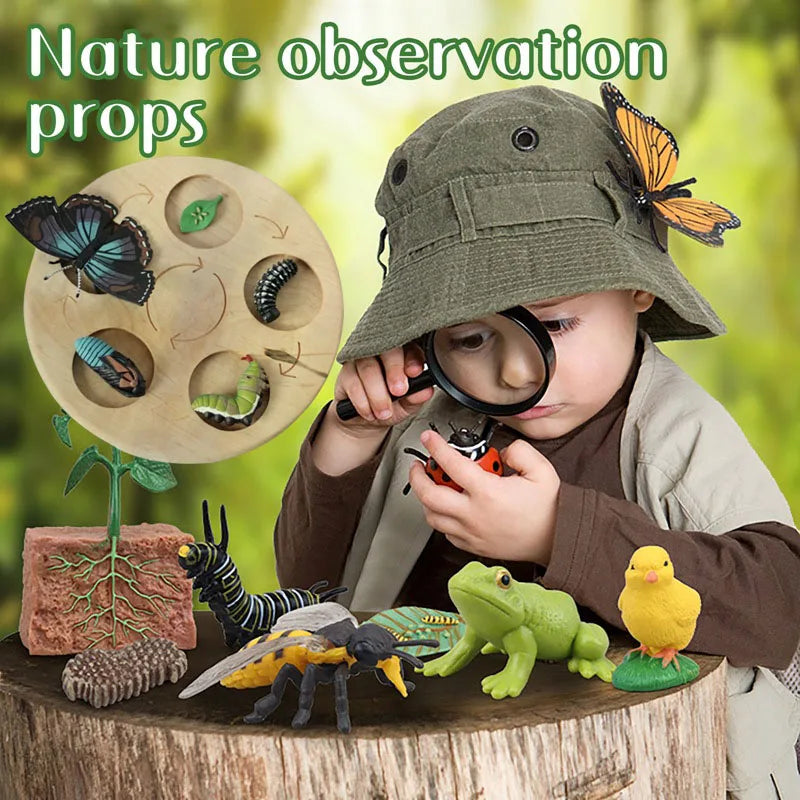 Kinder Simulation Biologie Modell Spielzeug Tier Anlage Lebenswachstum Zyklus Montessori Kinder Spielzeug Set Lehrmittel Pädagogisches Spielzeug