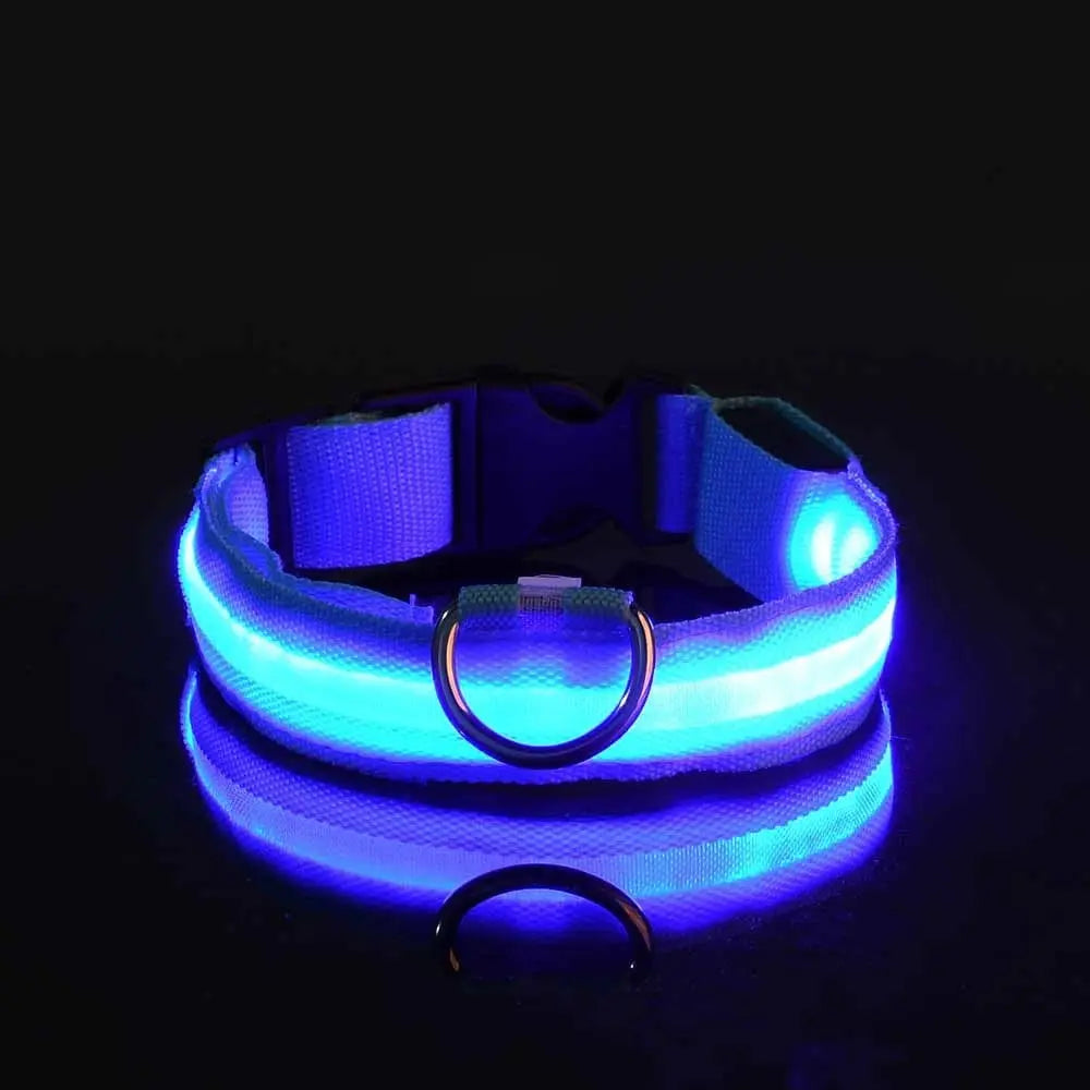 Leuchtende LED-Hundeleine für bessere Sichtbarkeit Petoria
