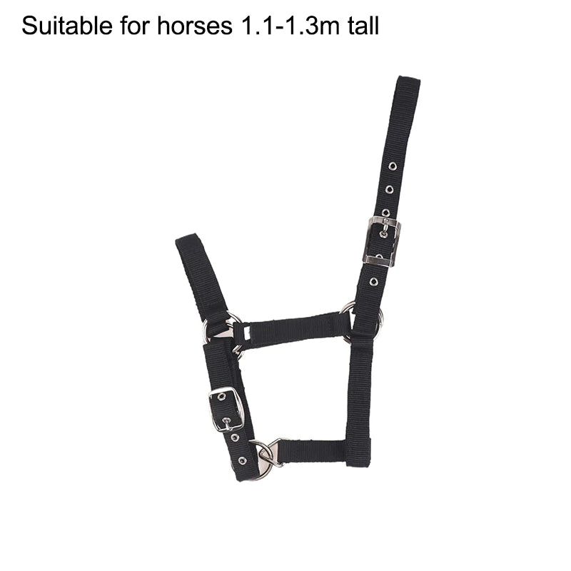 Pferdehalfter aus Nylon für Reitsport