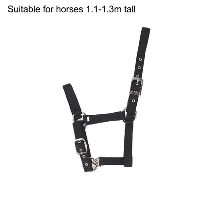 Pferdehalfter aus Nylon für Reitsport