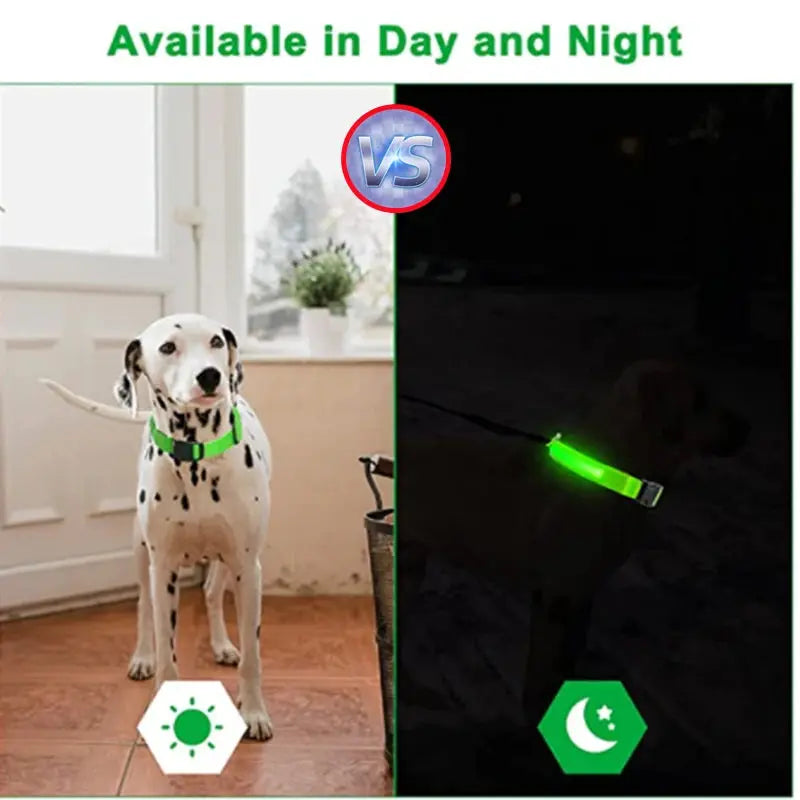 USB-aufladbares LED-Leuchthalsband für Hunde und Katzen Petoria