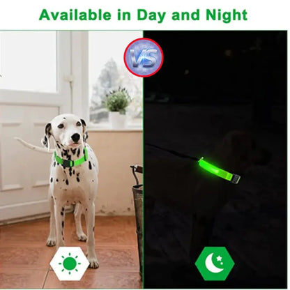 USB-aufladbares LED-Leuchthalsband für Hunde und Katzen Petoria