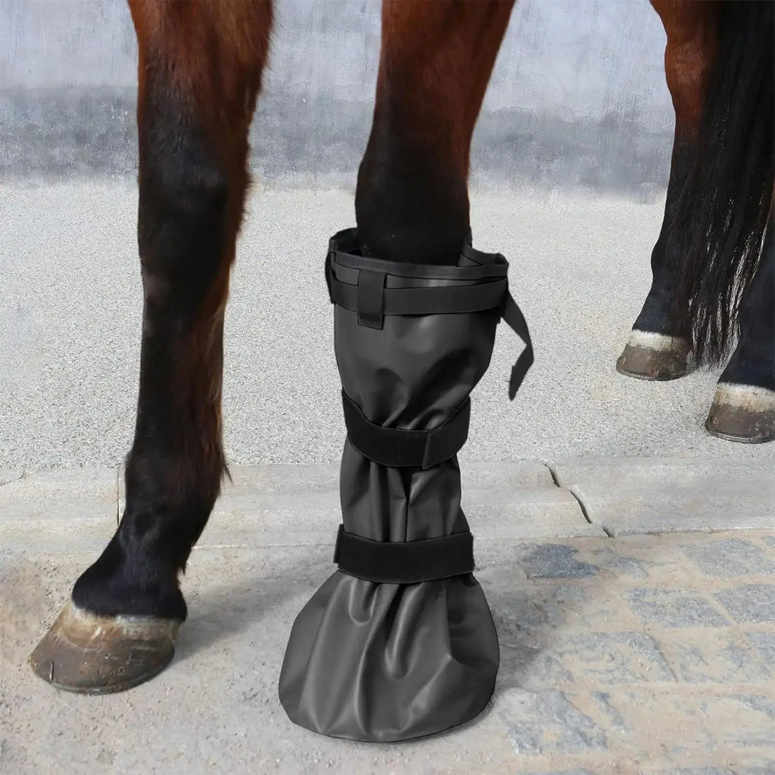 Premium Pferde Huf Einweichstiefel für die tägliche Hufpflege Petoria