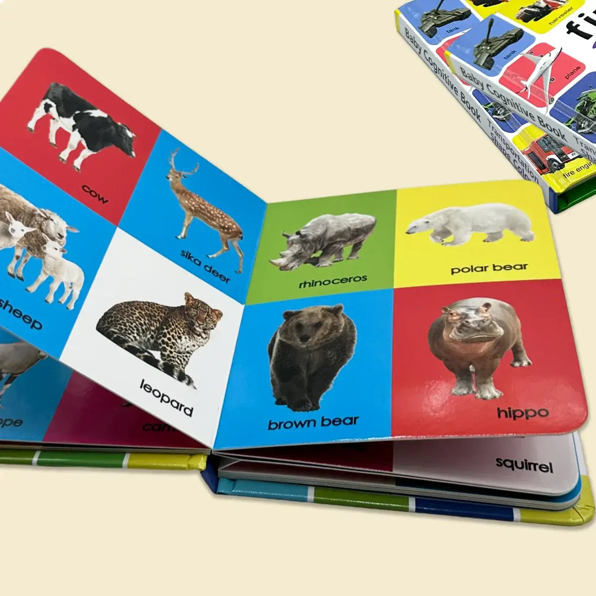 100 Tiere Lern- &amp; Malbuch für Kinder Premium