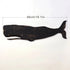 1pcs Wooden Retro Whale Dolphin Wall Decoration 2D Flat Print Exquisite Marine Animal Wooden Pendant Interior Design Decoration Petoria Store
