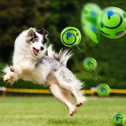 Interaktiver Giggle-Ball für Hunde Petoria