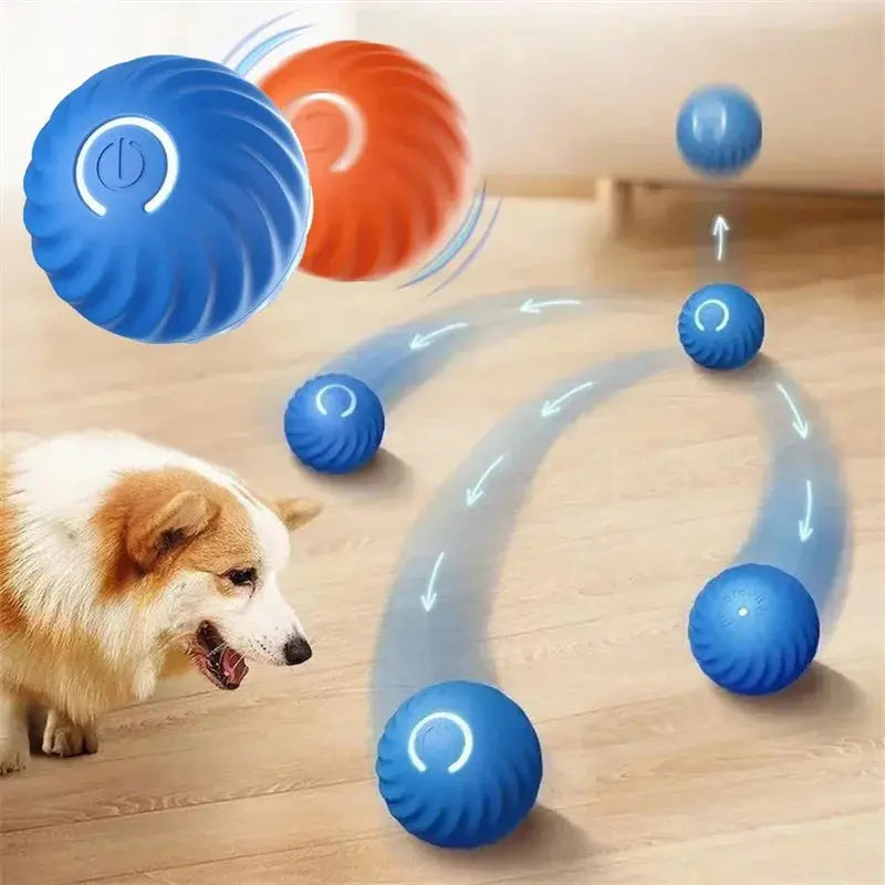 Interaktiver elektrischer Spielball für Hunde Petoria
