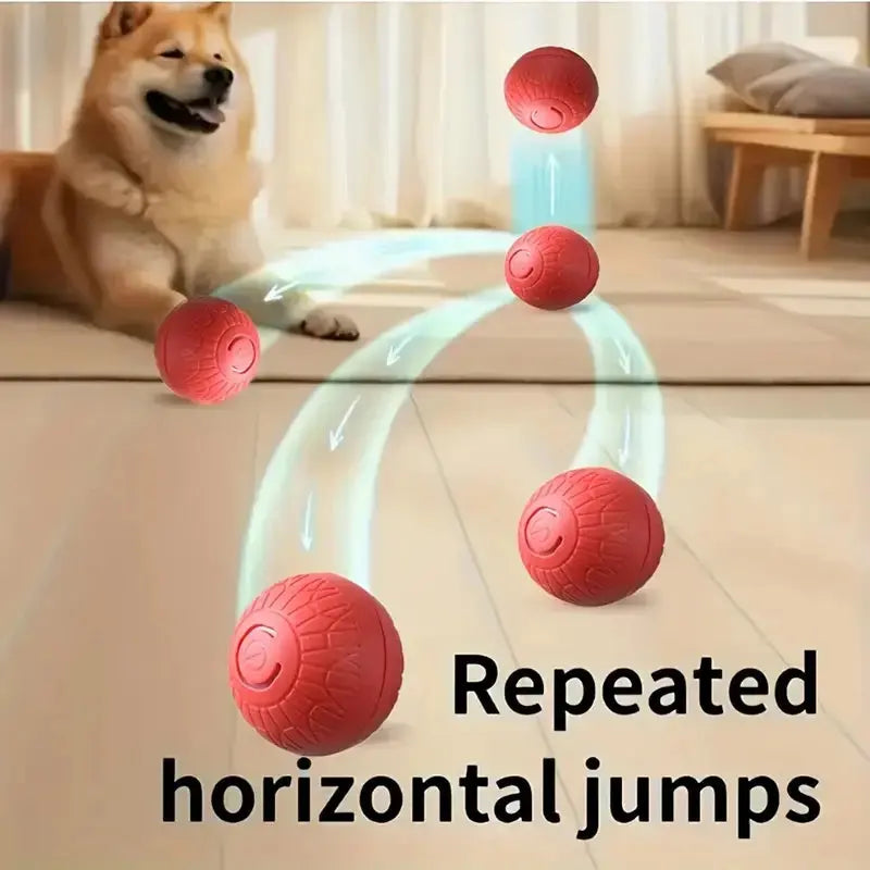 USB-aufladbarer interaktiver Spielball für Hunde Petoria