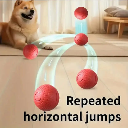 USB-aufladbarer interaktiver Spielball für Hunde Petoria