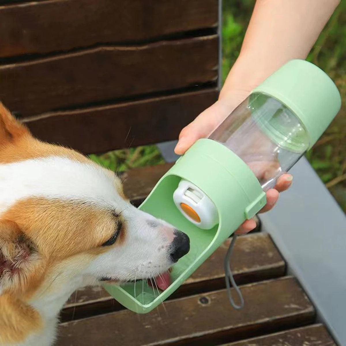 Portable Dog Cat Water Bottle with Storage Food and Water Container for Puppy Pets dogs Feeder Bowl Outdoor Travel Pet supplies Petoria Store
