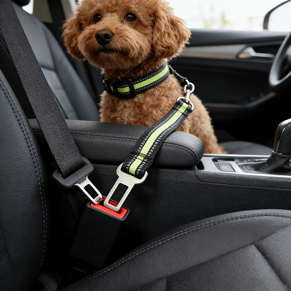 🐾 Petoria® Verstellbarer Autosicherheitsgurt für Hunde &amp; Katzen – Elastischer Sicherheitsgurt für sichere Autofahrten