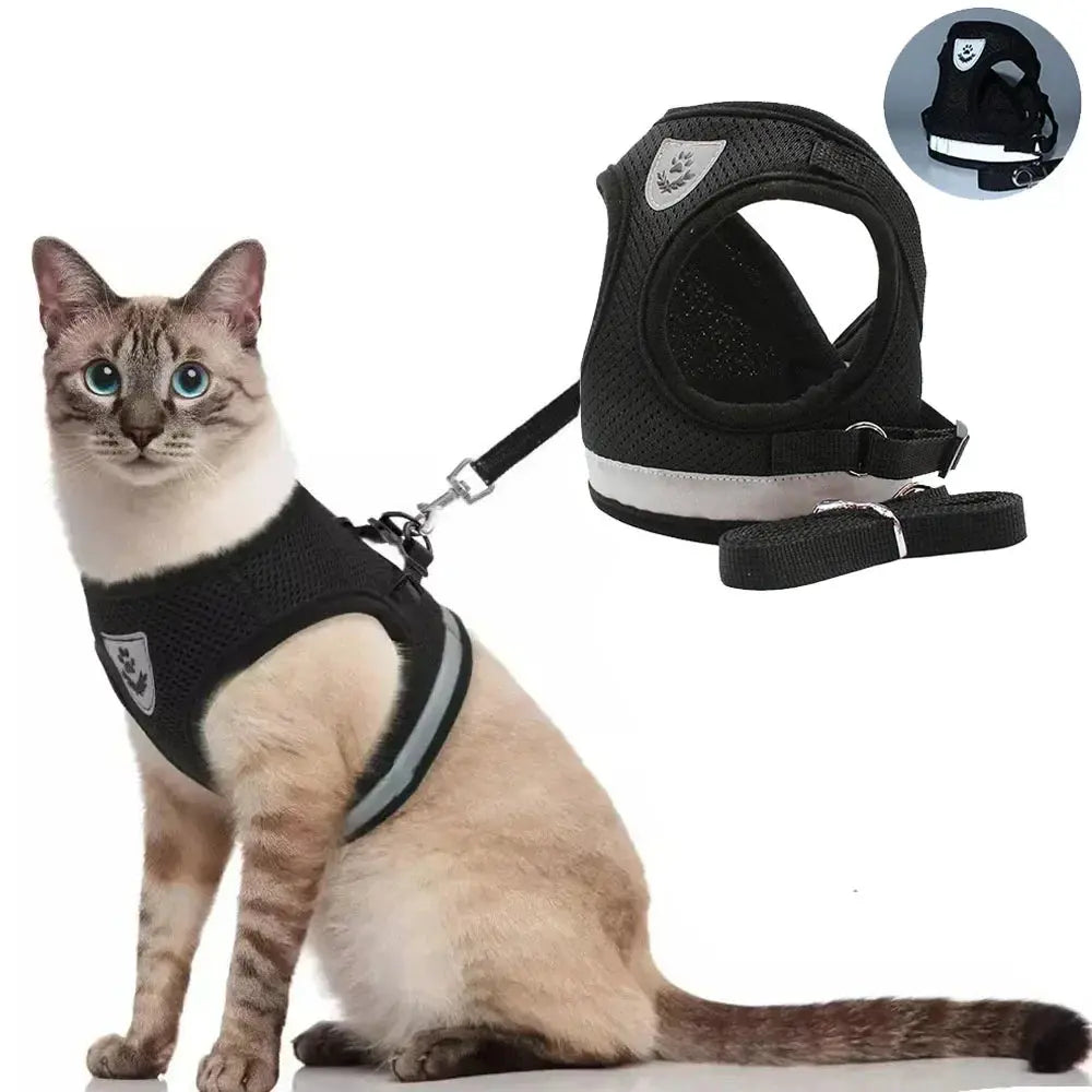 Verstellbares katzengeschirr set mit leine Petoria