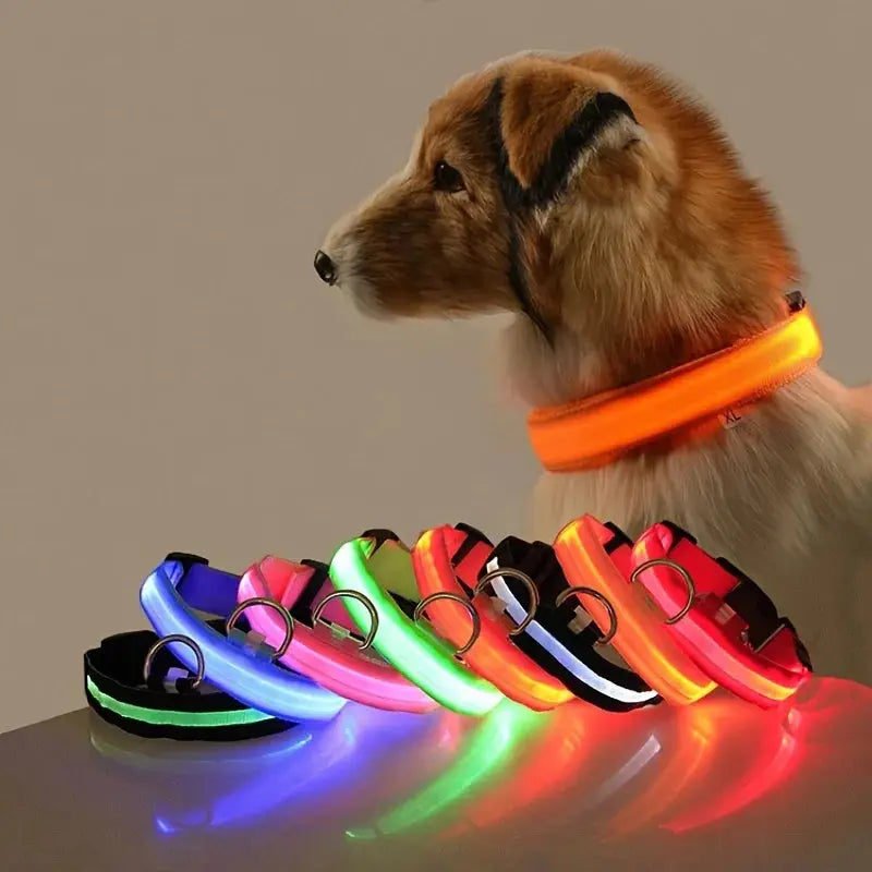 Leuchtende LED-Hundeleine für bessere Sichtbarkeit Petoria