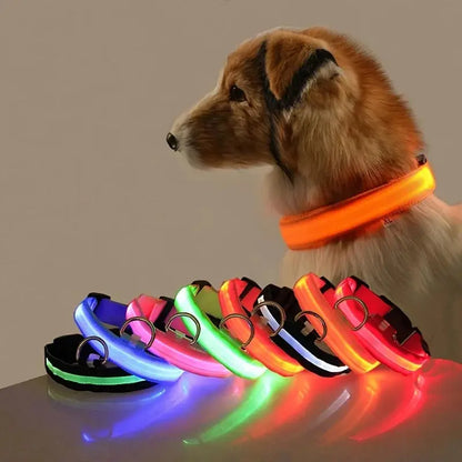 Leuchtende LED-Hundeleine für bessere Sichtbarkeit Petoria