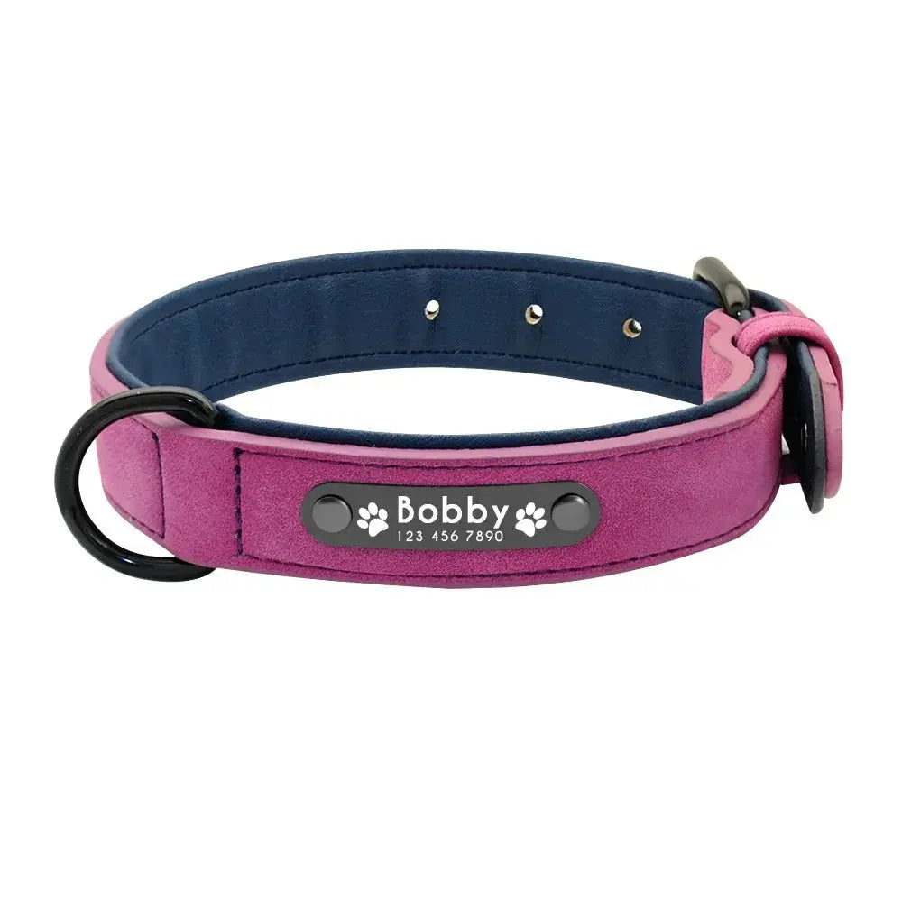 Personalisiertes Leder-Hundehalsband mit Namensschild Petoria