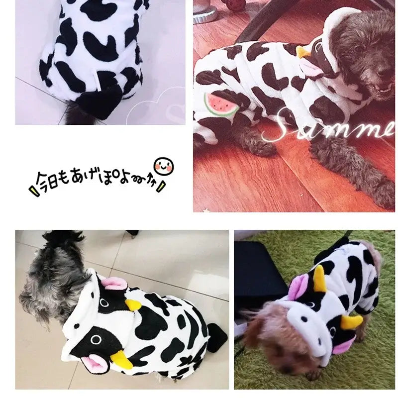 🐕 Petoria™ Fleece Hunde Overall