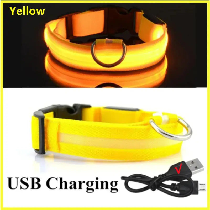 USB-aufladbares LED-Leuchthalsband für Hunde und Katzen Petoria