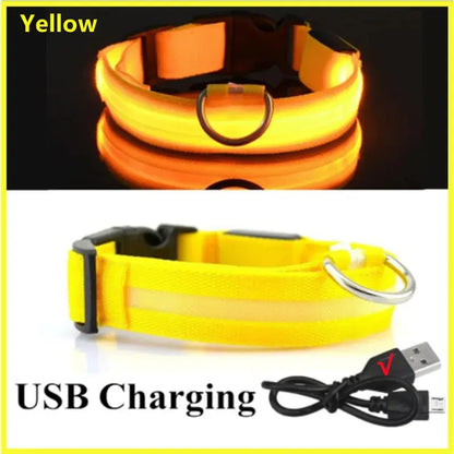 USB-aufladbares LED-Leuchthalsband für Hunde und Katzen Petoria