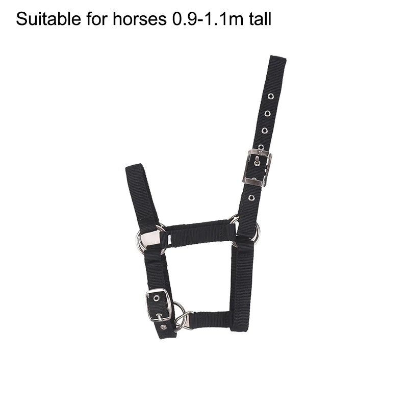 Pferdehalfter aus Nylon für Reitsport
