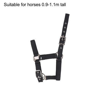 Pferdehalfter aus Nylon für Reitsport