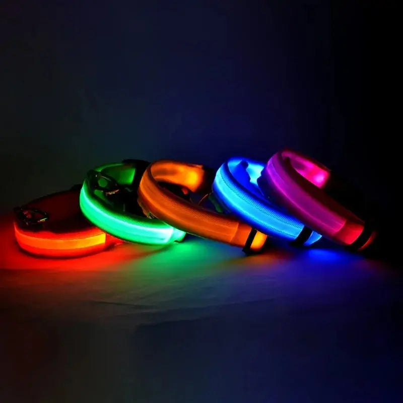 Leuchtende LED-Hundeleine für bessere Sichtbarkeit Petoria