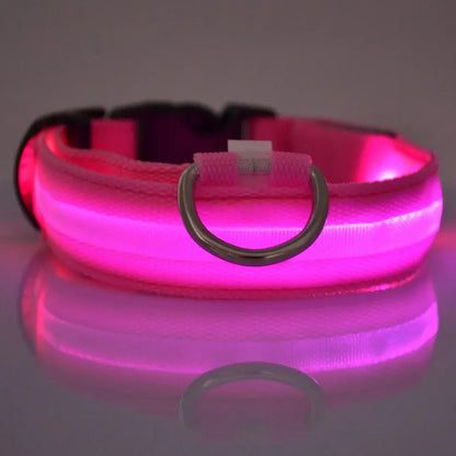 Leuchtende LED-Hundeleine für bessere Sichtbarkeit Petoria