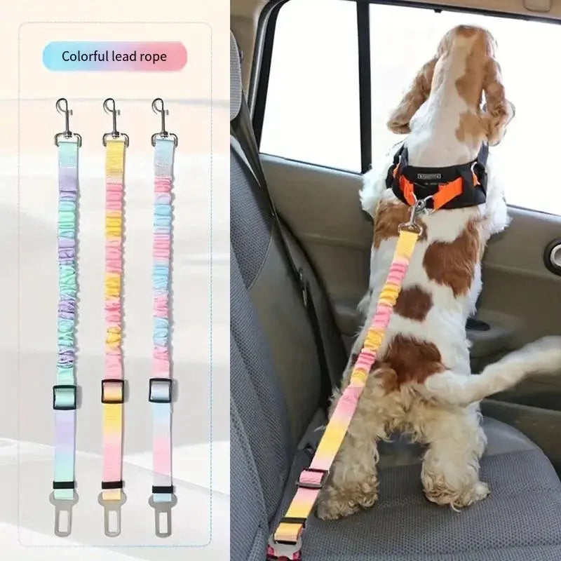🐾 Petoria® Elastischer Autosicherheitsgurt für Hunde &amp; Katzen – Stoßdämpfender Sicherheitsgurt Petoria
