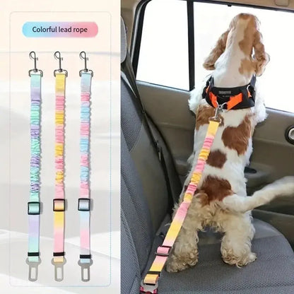 🐾 Petoria® Elastischer Autosicherheitsgurt für Hunde &amp; Katzen – Stoßdämpfender Sicherheitsgurt Petoria
