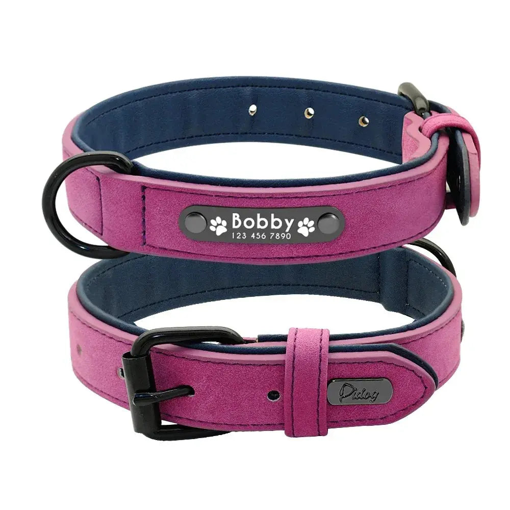 Personalisiertes Leder-Hundehalsband mit Namensschild Petoria
