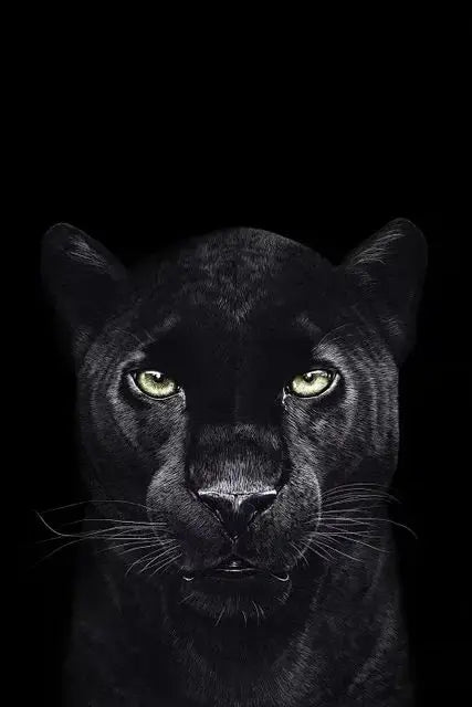 Canvas Painting Animal Art Black Panther Feline Wildlife Posters and Prints Wall Art Picture for Living Room Home Decor Cuadros Petoria Store