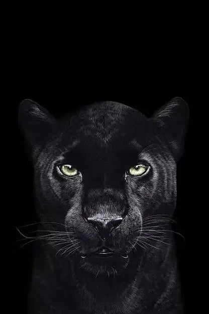 Canvas Painting Animal Art Black Panther Feline Wildlife Posters and Prints Wall Art Picture for Living Room Home Decor Cuadros Petoria Store