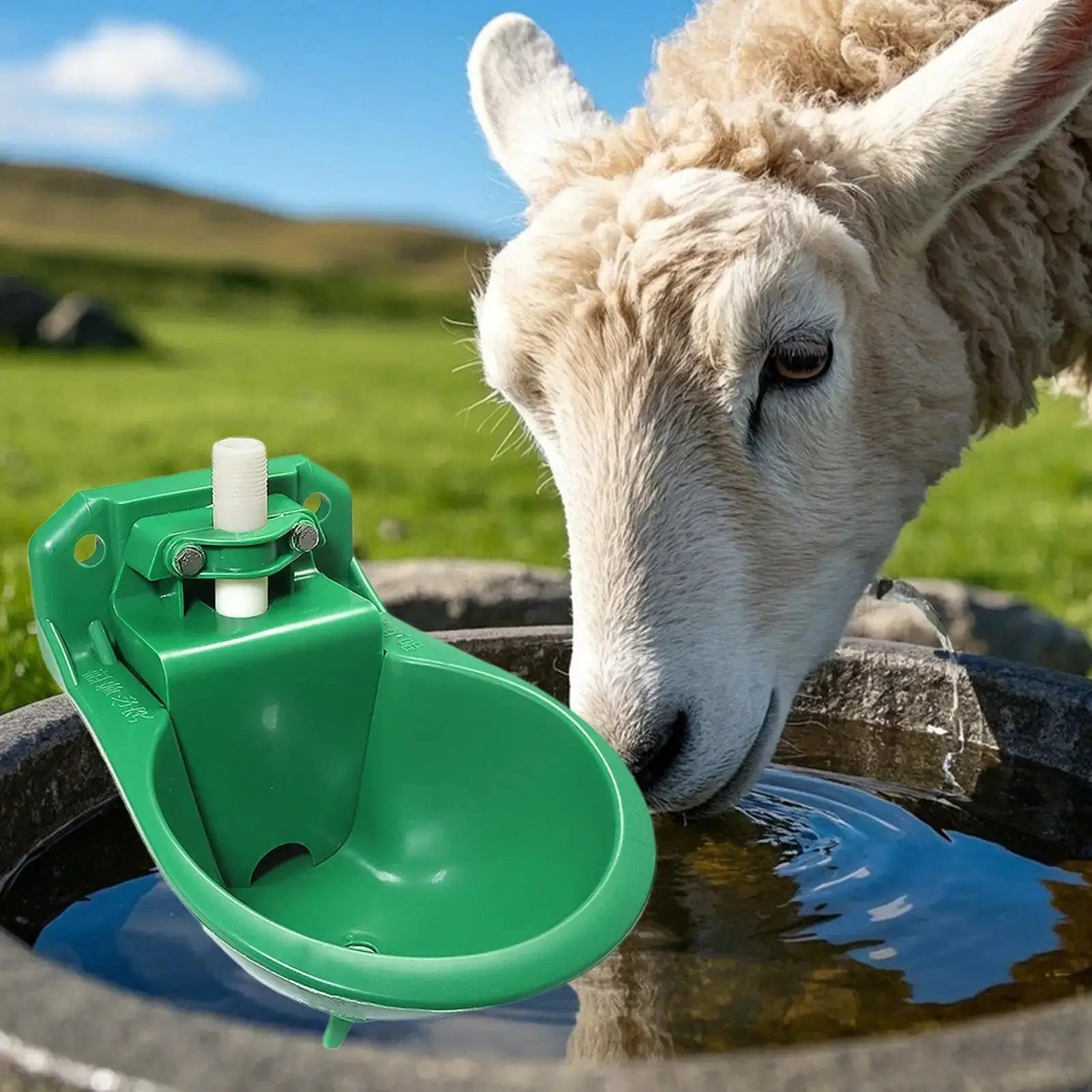 Automatische Tränkschale mit 500-ml-Wassertank Petoria