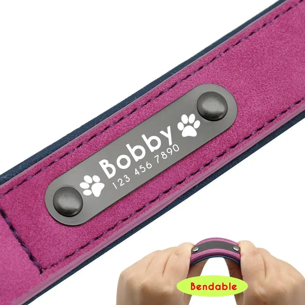 Personalisiertes Leder-Hundehalsband mit Namensschild Petoria