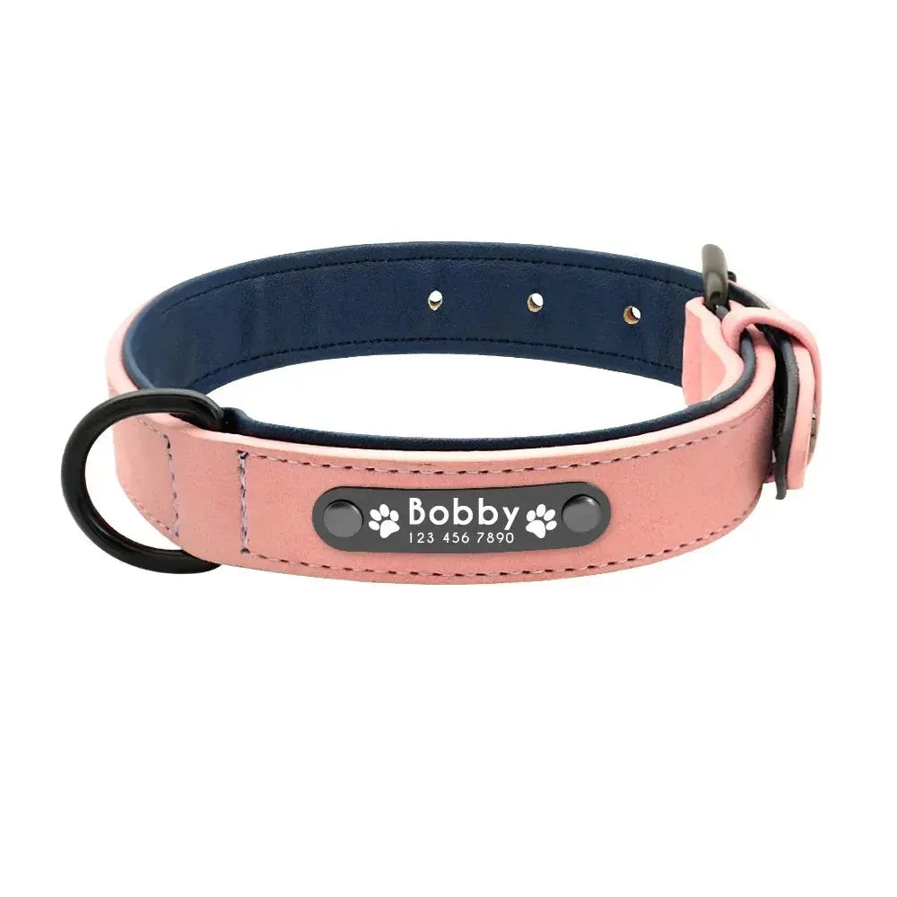 Personalisiertes Leder-Hundehalsband mit Namensschild Petoria