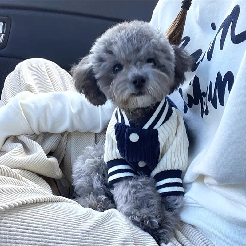 Niedliche bestickte Haustier-Baseballjacken, Hundekleidung für kleine und mittelgroße Katzen, Teddy-Mantel, Welpen-Frühlingskleidung, warmes, modisches Haustier-Outfit