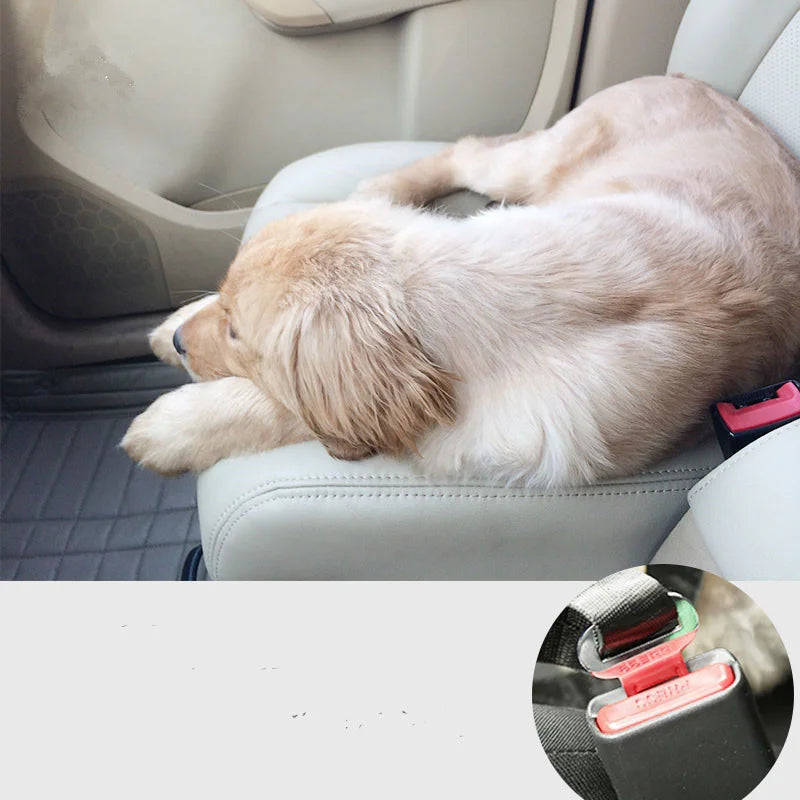🐾 Petoria® Verstellbarer Autosicherheitsgurt für Hunde &amp; Katzen