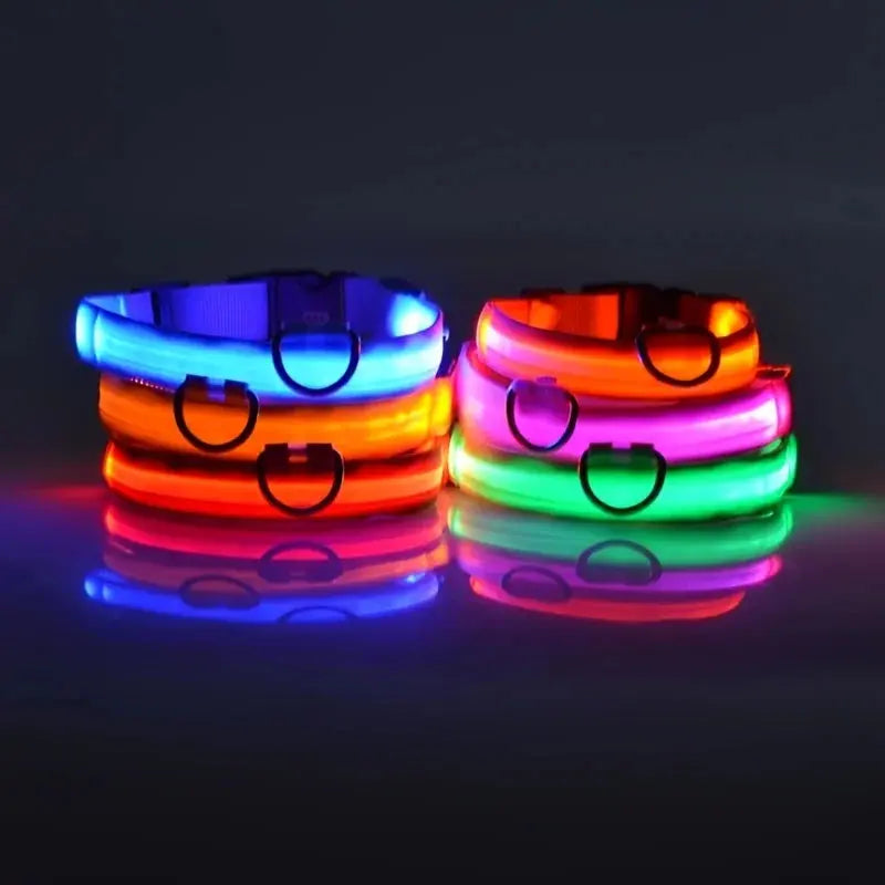 Leuchtende LED-Hundeleine für bessere Sichtbarkeit Petoria