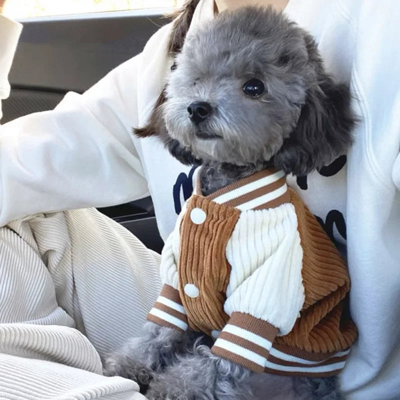 Niedliche bestickte Haustier-Baseballjacken, Hundekleidung für kleine und mittelgroße Katzen, Teddy-Mantel, Welpen-Frühlingskleidung, warmes, modisches Haustier-Outfit