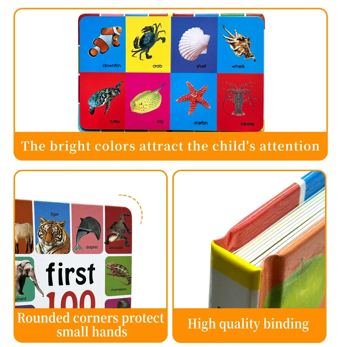 100 Tiere Lern- &amp; Malbuch für Kinder Premium