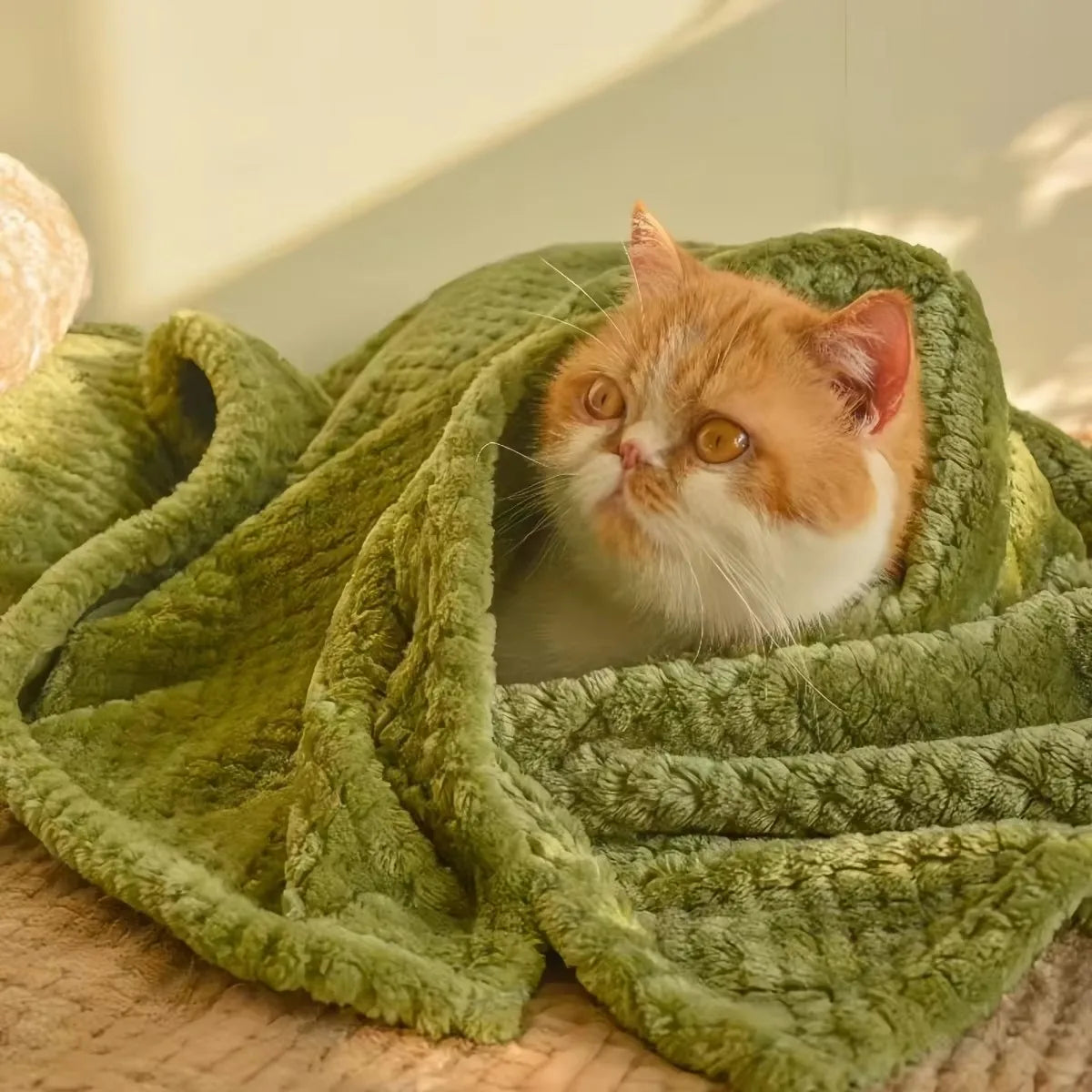 🐾 Petoria® Premium Kuscheldecke für Hunde &amp; Katzen – Weich, Warm &amp; Waschbar