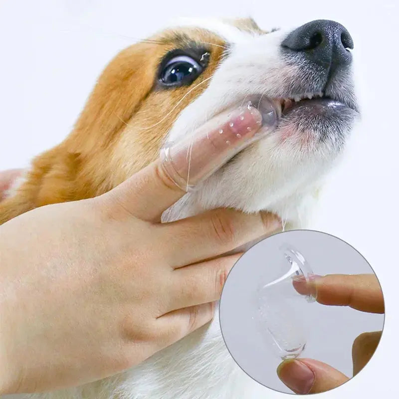 Weiche Finger-Zahnbürste für Hunde und Katzen Petoria