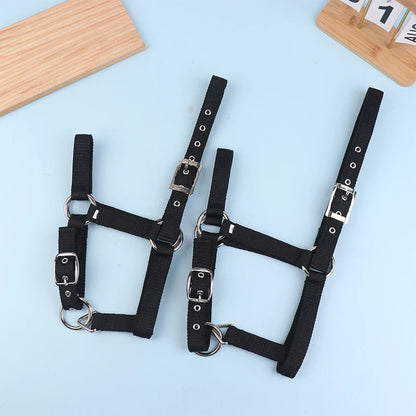 Pferdehalfter aus Nylon für Reitsport