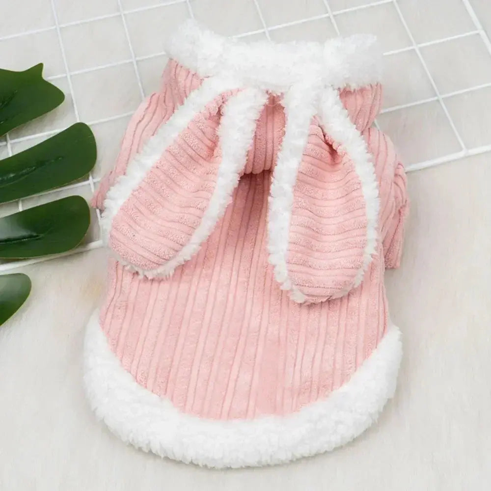 Winter Haustierkleidung Petoria